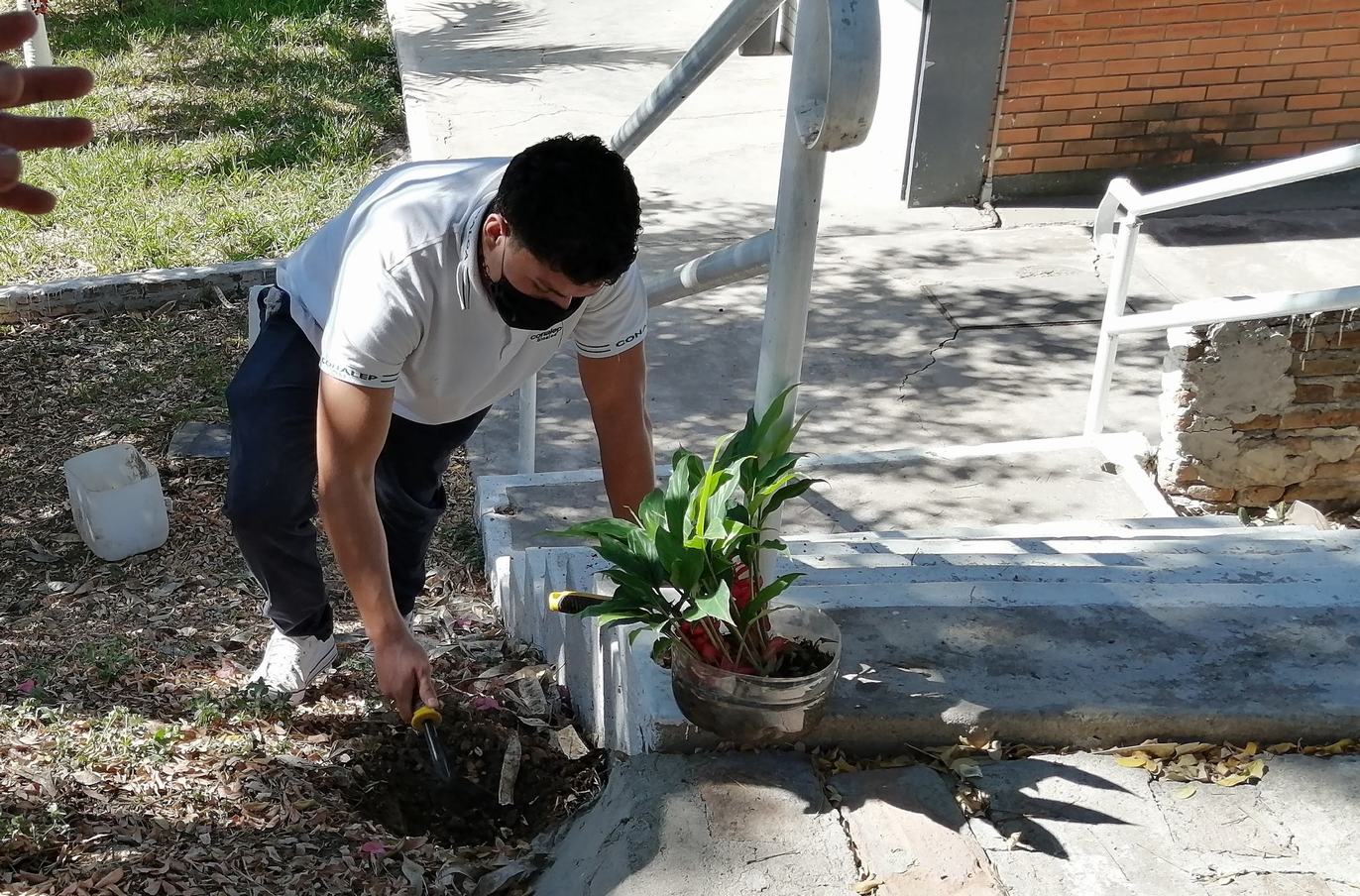 servicio social