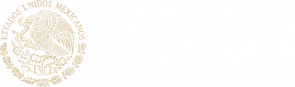 Gobierno de México